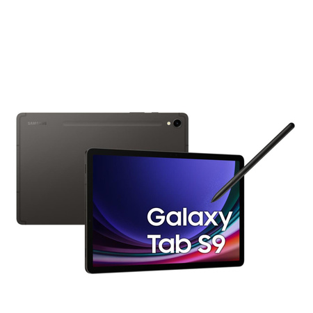 Samsung Galaxy Tab S9 Wi-Fi 8/128GB Szary
