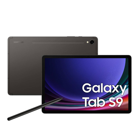 Samsung Galaxy Tab S9 Wi-Fi 8/128GB Szary