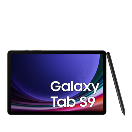Samsung Galaxy Tab S9 Wi-Fi 8/128GB Szary