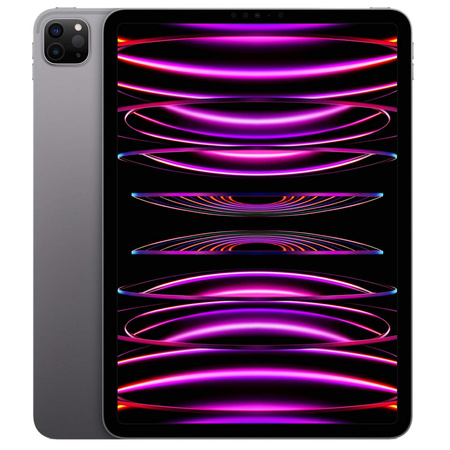 iPad Pro 11 (4 Gen) 128GB Wi-Fi Szary