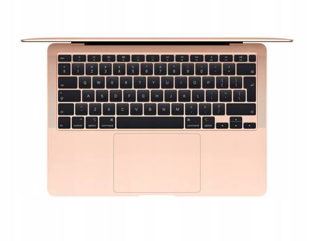 MacBook Air 13" M1 8/8 16/1TB Złoty 